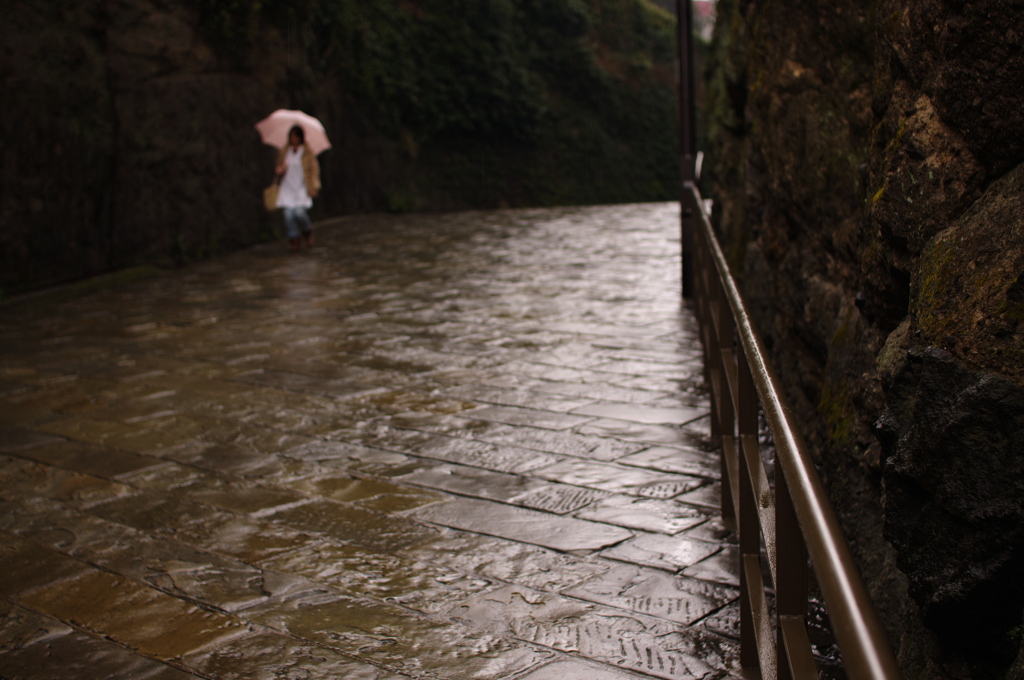 雨のオランダ坂 By Commonplace Id 写真共有サイト Photohito