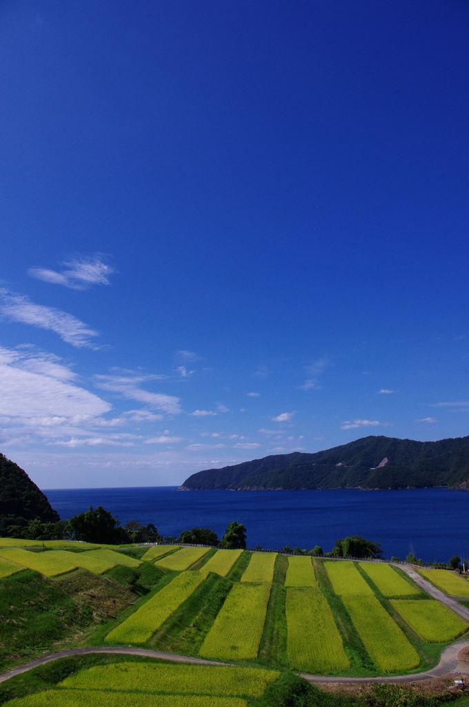 日本海を望む