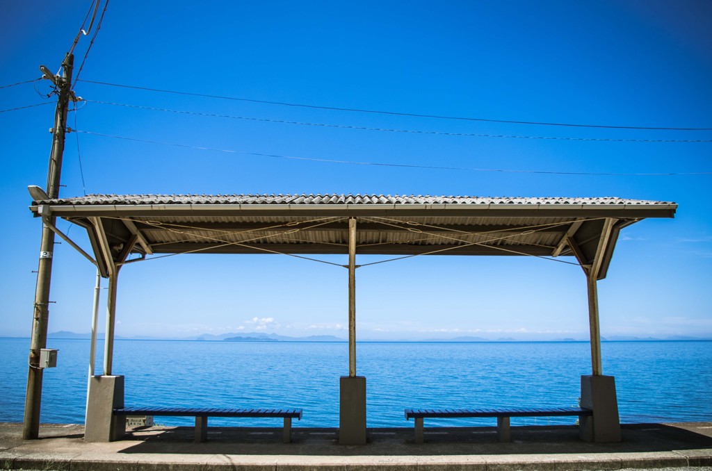 生まれて初めて、夏を待ち遠しく感じている。