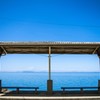 生まれて初めて、夏を待ち遠しく感じている。