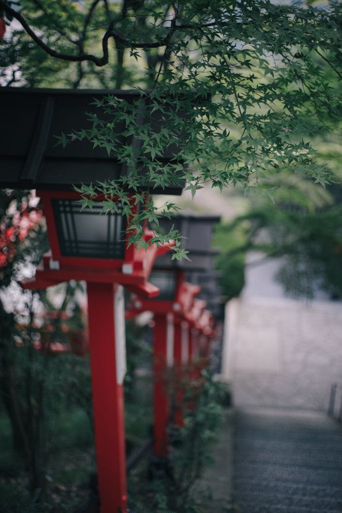 京都散歩。