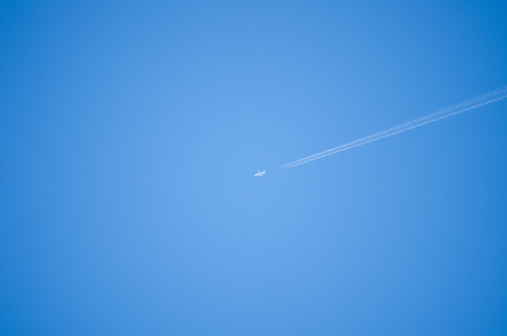 fish in the sky!!