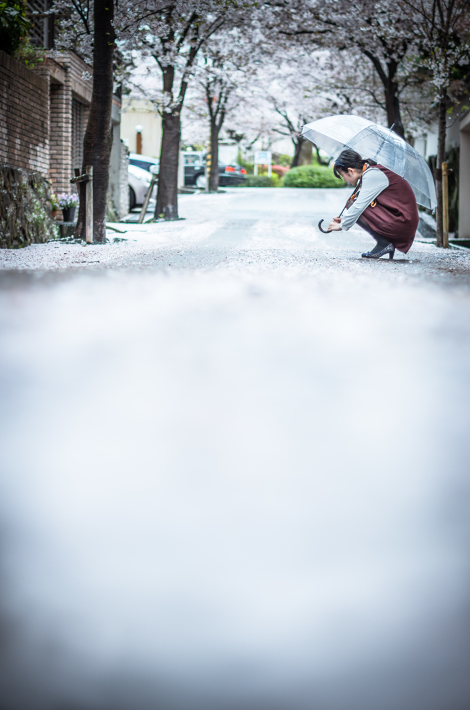 春に、桜が咲いてくれて本当に良かった。