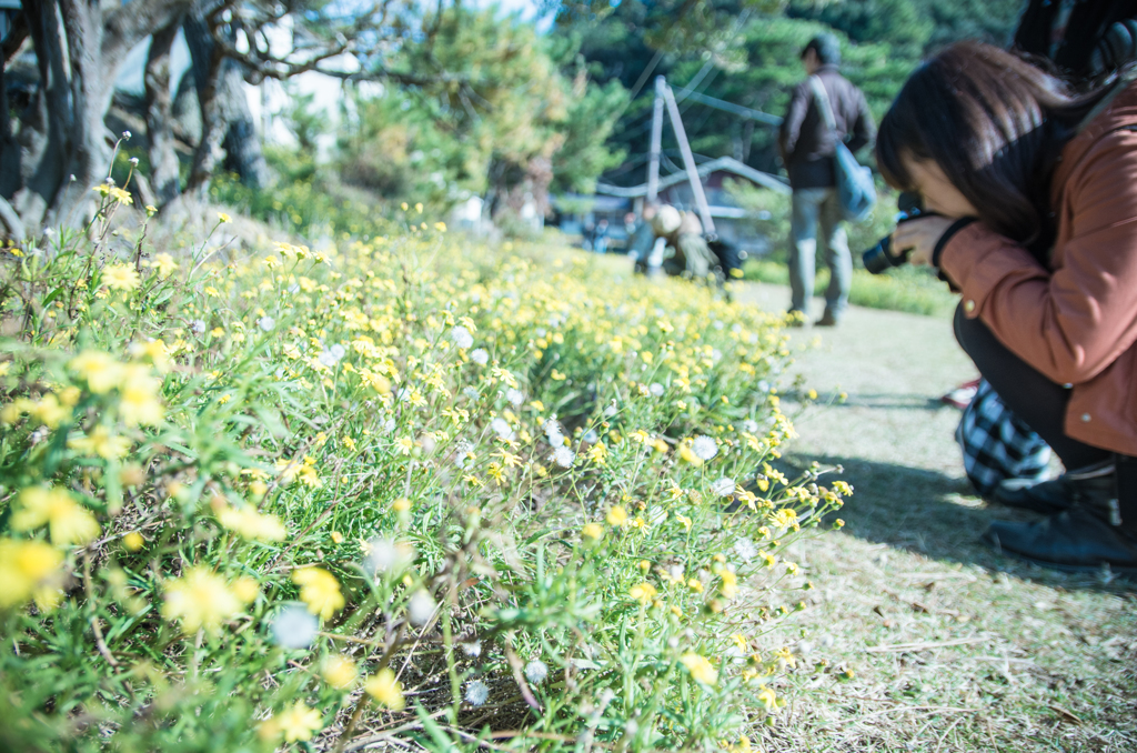 冬は温かい。