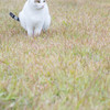 お前にもしがらみとかあるんだろうか。