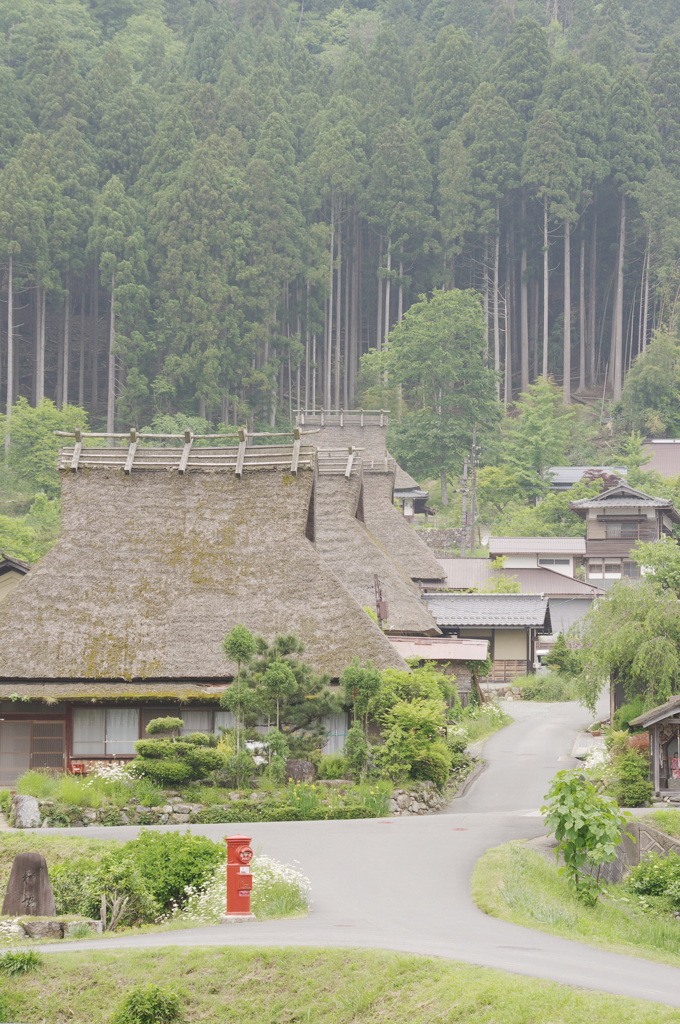 美山