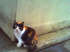 PICT0087