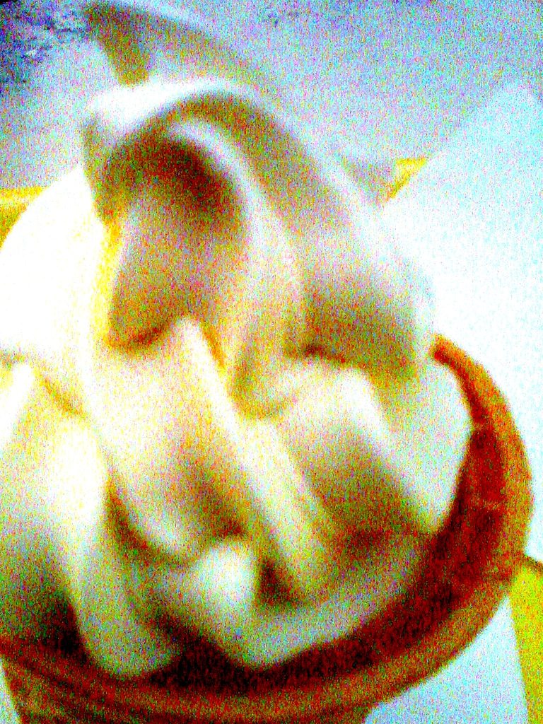PICT0493