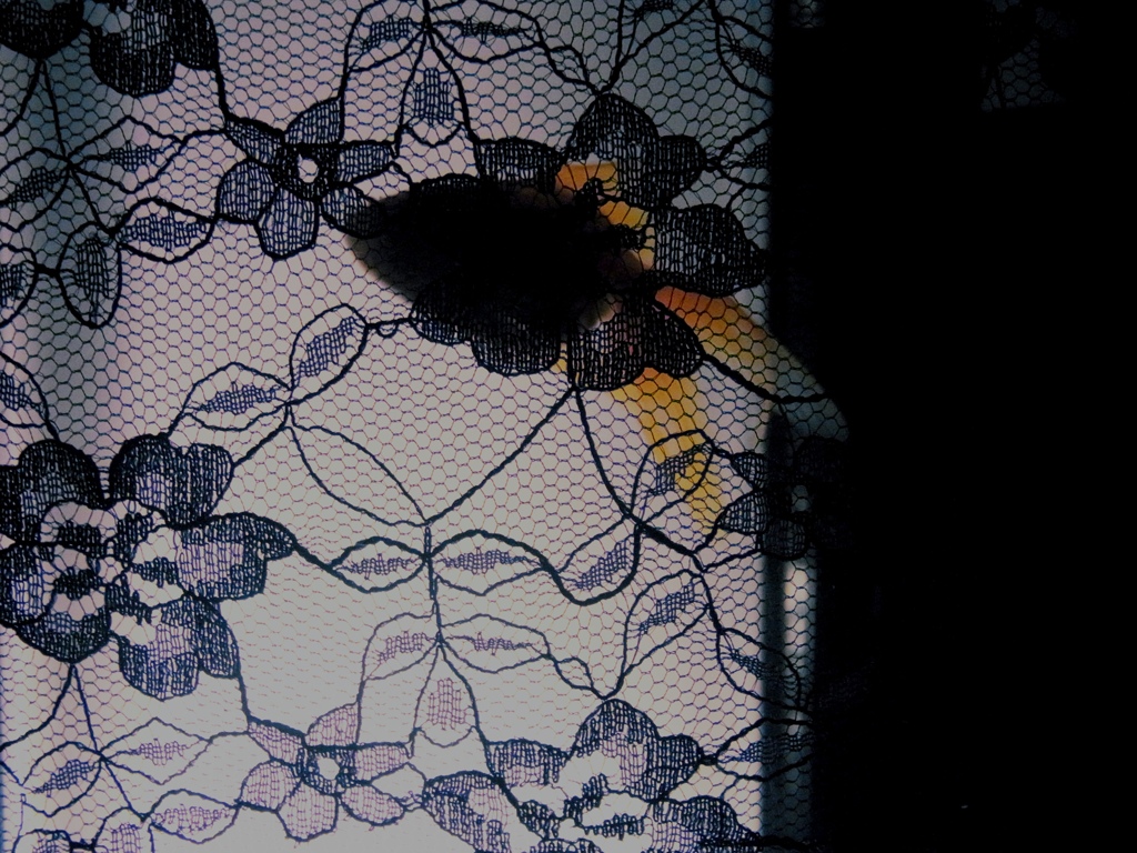 RIMG0193