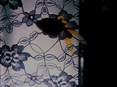 RIMG0193