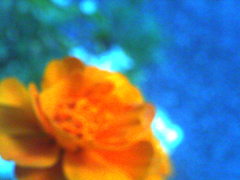 PICT0337