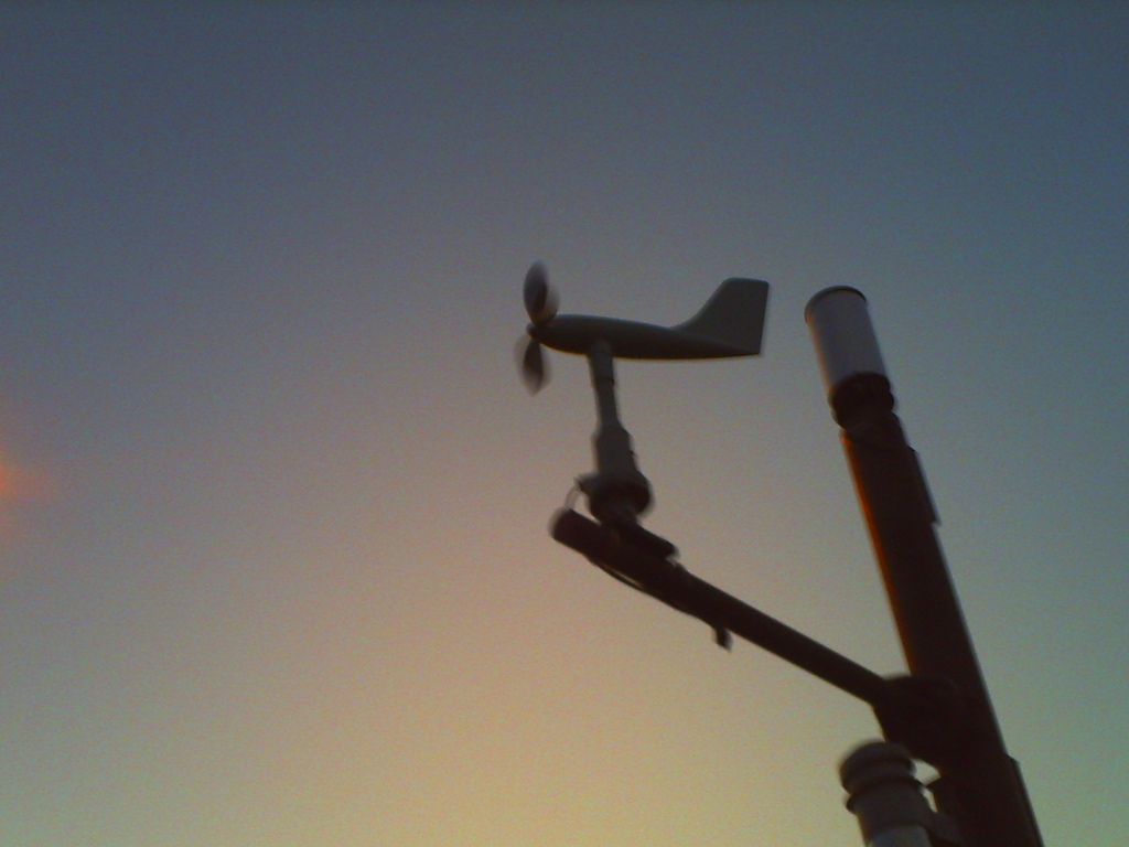PICT0446