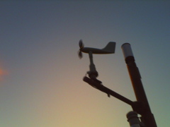 PICT0446
