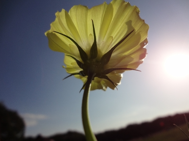 image010