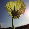 image010