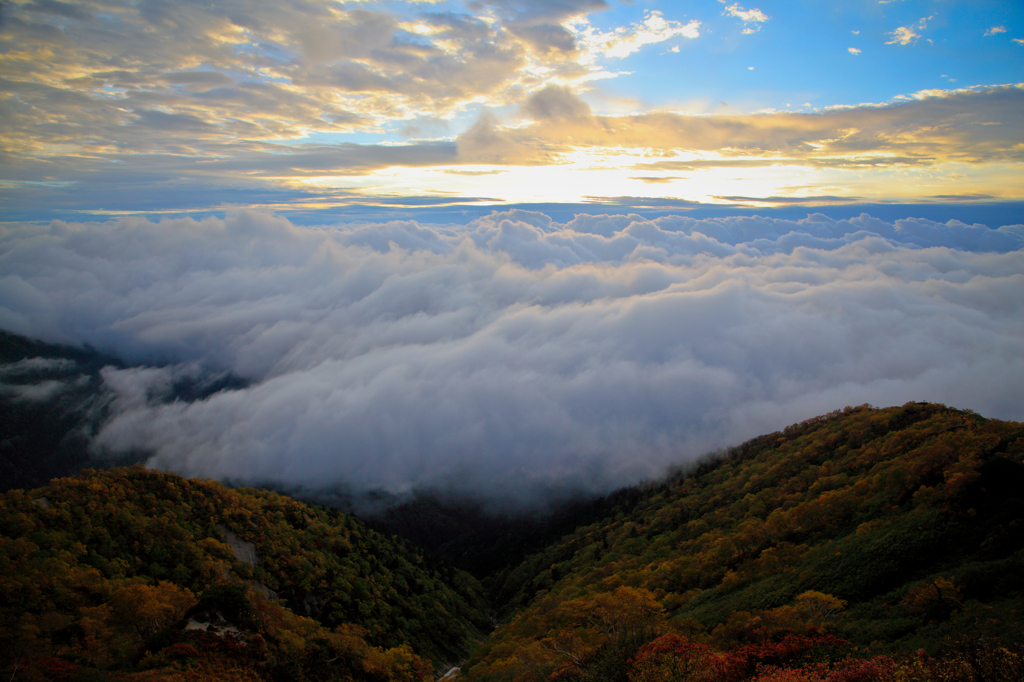 山岳紅葉～朝日を浴びる