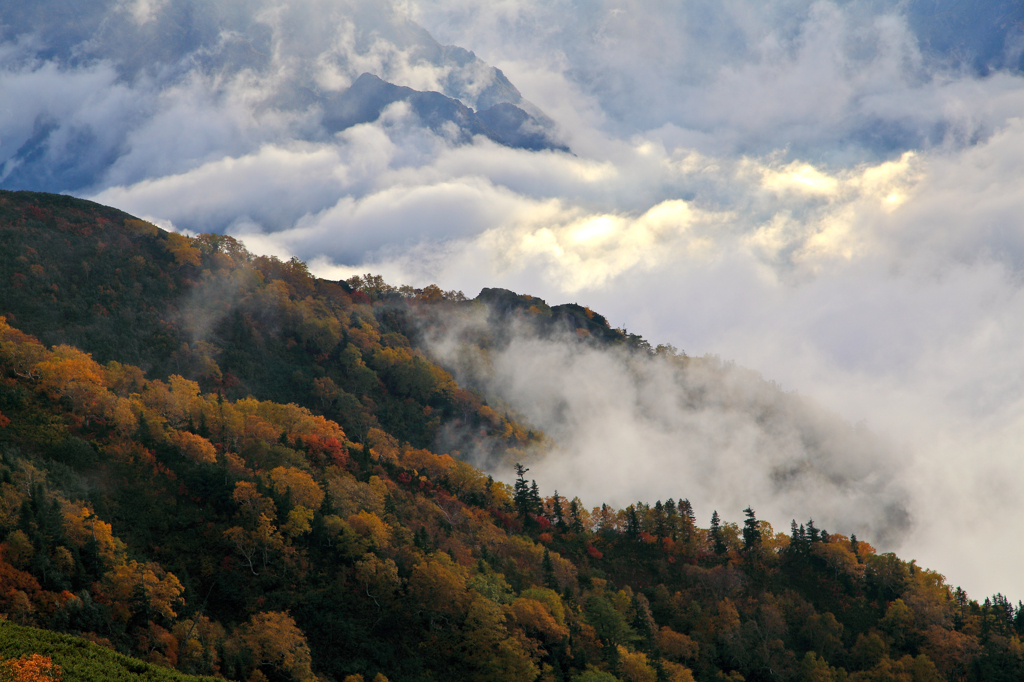 山岳紅葉～湧き上がる雲
