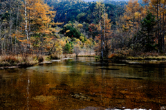 田代池の紅葉