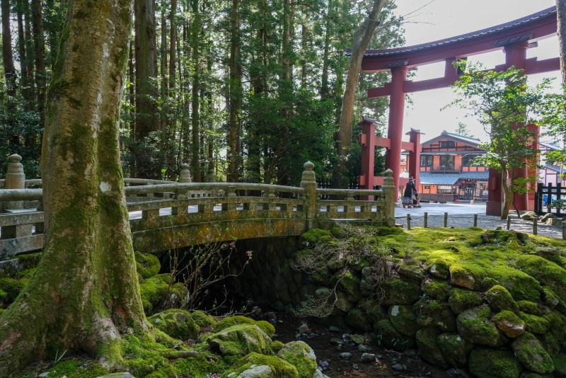 弥彦神社