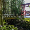 弥彦神社