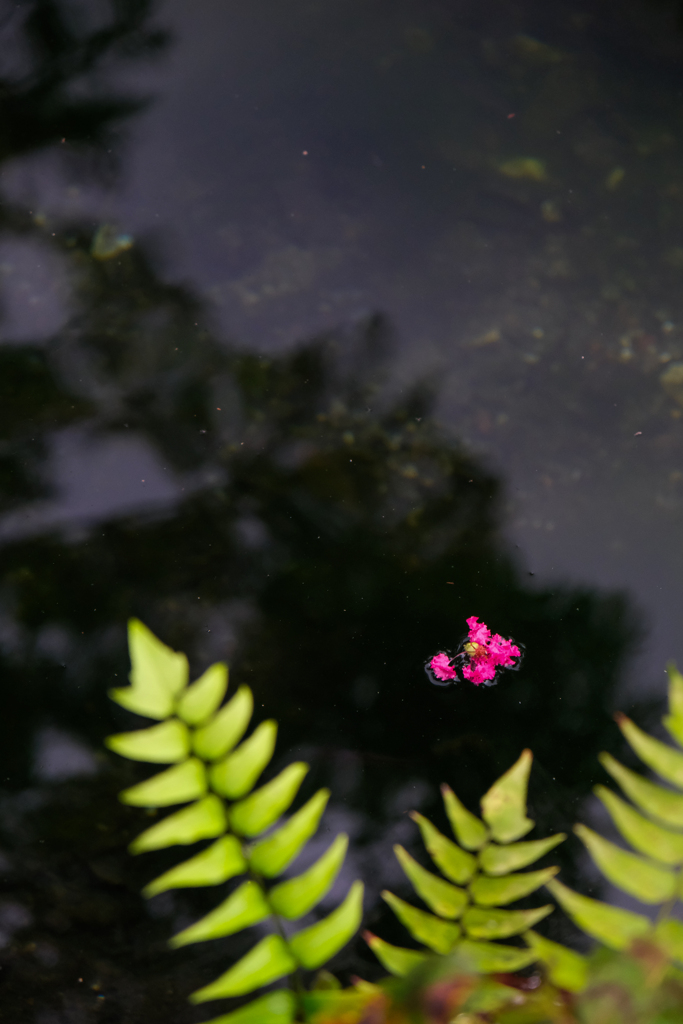 秋の湖畔
