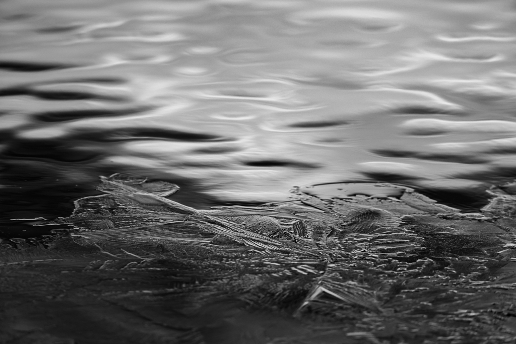 氷結の朝、