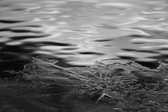氷結の朝、