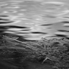 氷結の朝、