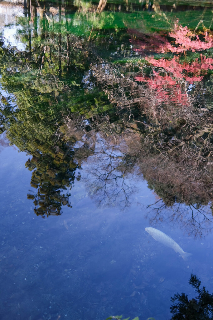 湧水池