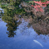 湧水池