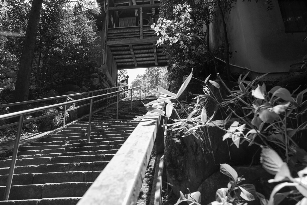 少林山達磨寺