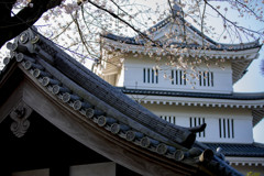 忍城
