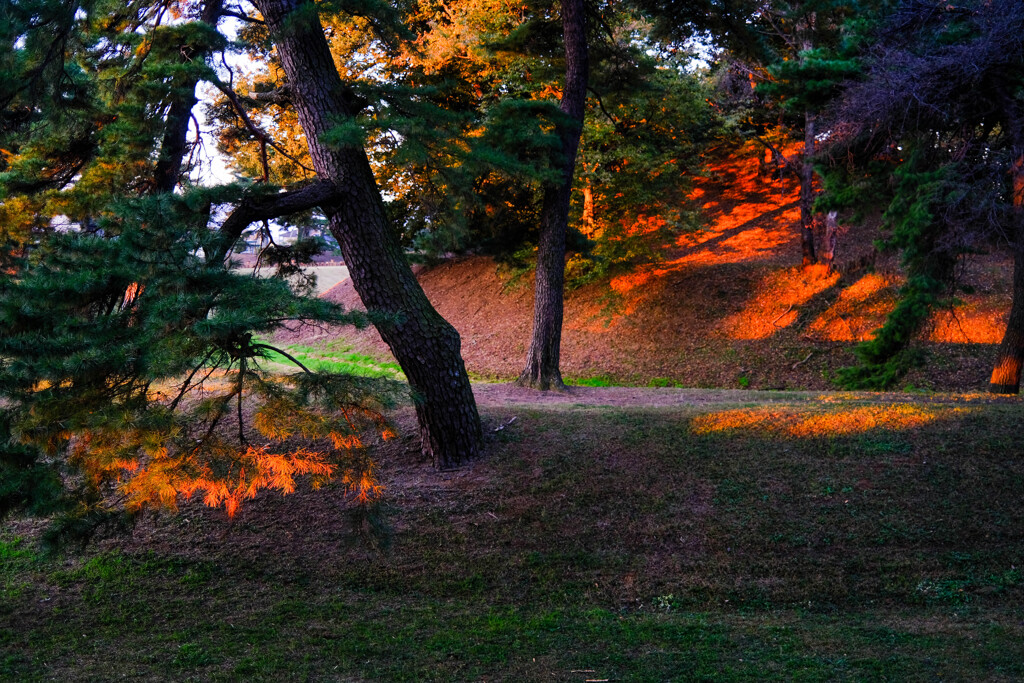 古墳公園の朝