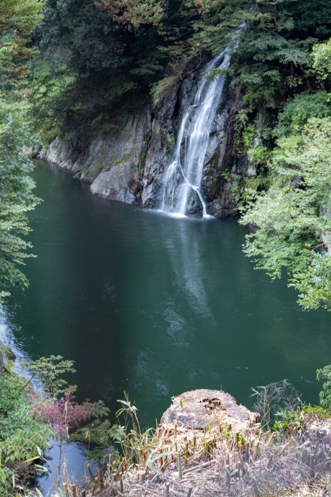 渡良瀬川