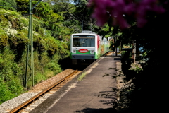 せんたいら・・・駅　Ⅱ