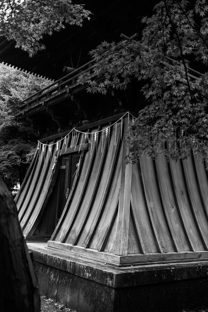 鑁阿寺の境内　