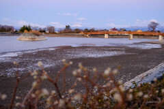 誰もいない散歩道