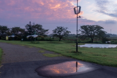 雨上がりの公園