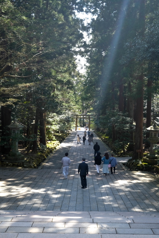 弥彦神社