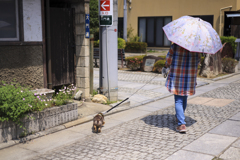 路地裏散歩　境内