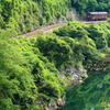 わたらせ渓谷鉄道　群馬県