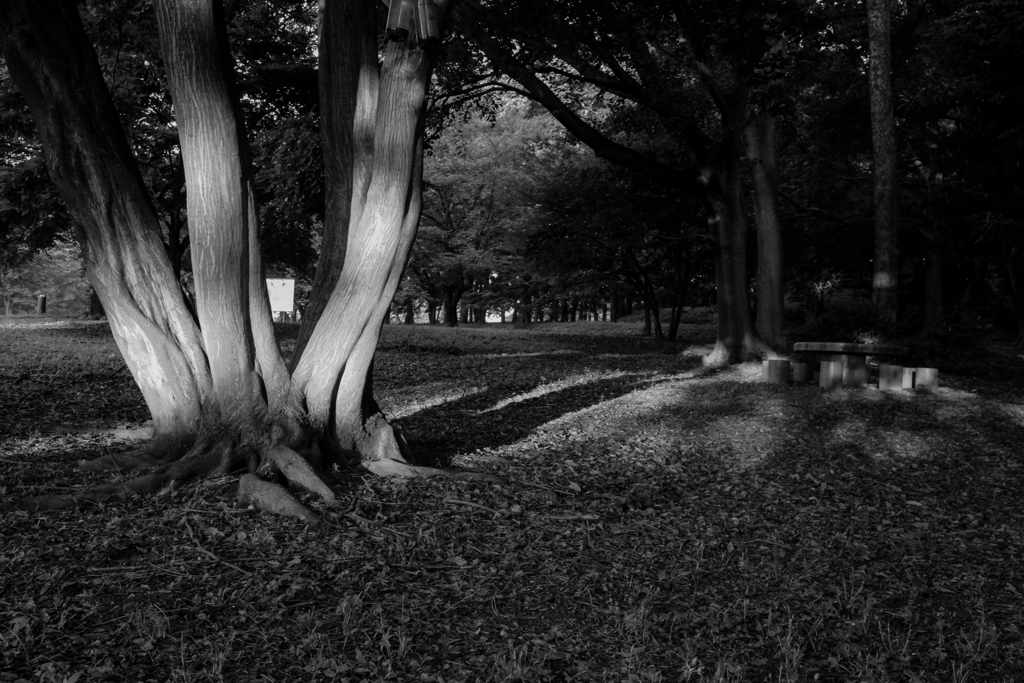 古墳公園