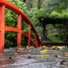 珊瑚寺  さんごじ