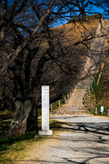 さきたま古墳群