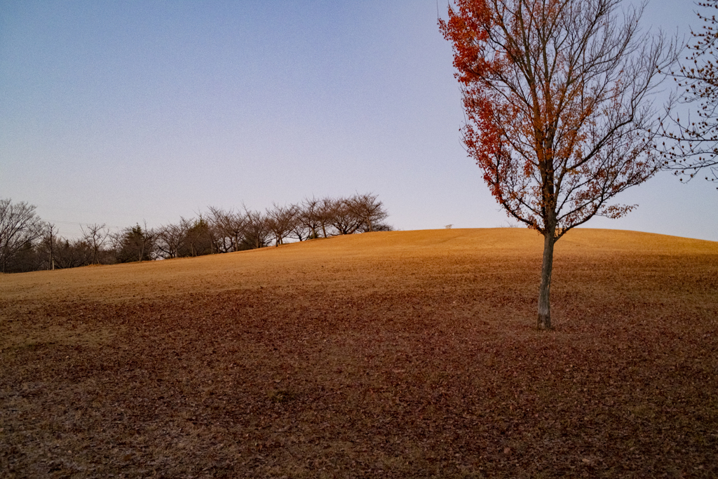 市民の森公園、2