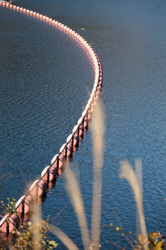 湖畔の散歩道