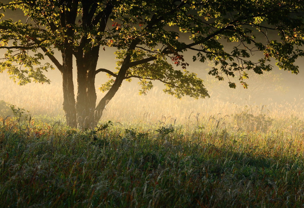 榛名湖の朝の2時間