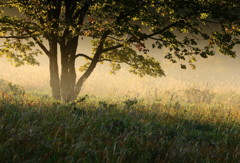榛名湖の朝の2時間