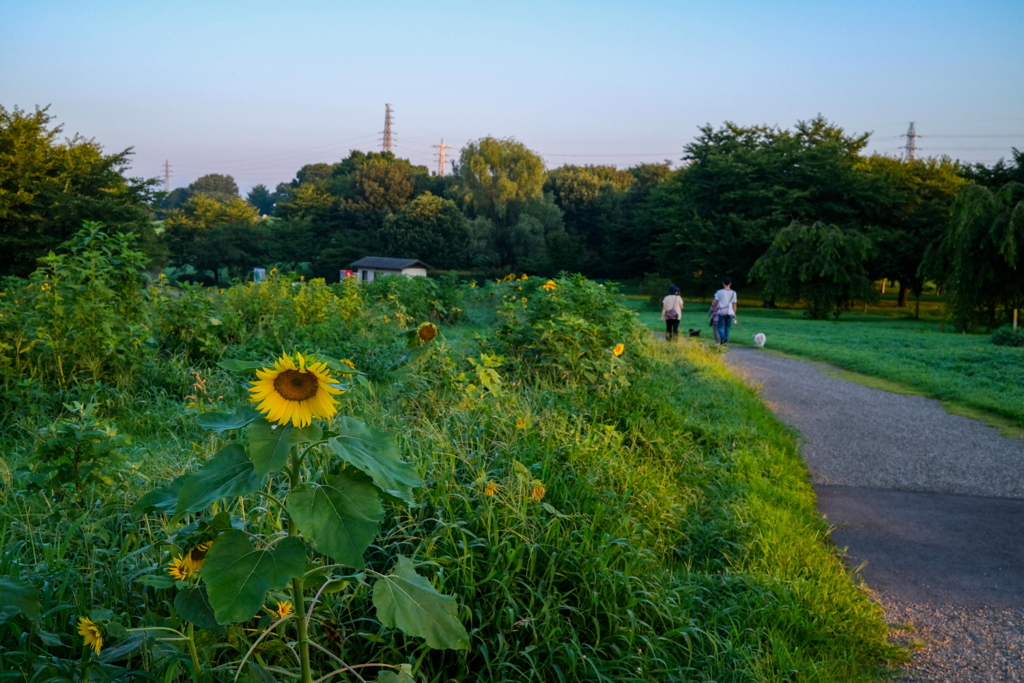 大室公園