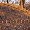 古墳公園の夜明け、